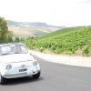 Partanna 2010 (479)